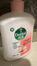 滴露（Dettol）洗手液消毒抑菌滋润500g+500g补充装儿童家庭护手替换 实拍图