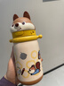 babycare儿童水杯6个月以上宝宝霸王龙不锈钢保温杯上学450ml-新旧款混发 实拍图