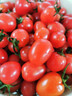 新鲜千禧圣女果小番茄现摘现发多汁水果适合孕妇食用 2斤 实拍图