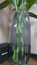 九千谷花瓶玻璃 花束北欧艺术花瓶透明花瓶摆件插花钻石灰大号2913 实拍图