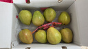 京觅福建红心芭乐 番石榴 应季 低糖孕妇水果 单果150g 净重3斤装 实拍图