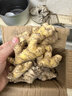 农多鲜 云南小黄姜 新鲜蔬菜现挖现发调味料火锅食材 产地直供 小黄姜净重1斤 云南小黄姜 实拍图