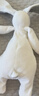 澳贝（auby）婴幼儿玩具小兔安抚巾加大宝宝哄睡阿贝贝新生儿毛绒手偶满月礼物 实拍图