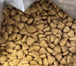 皇家室内成猫粮 I27 通用粮 12月以上 10KG 实拍图