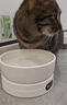 憨憨乐园猫咪加热宠物陶瓷碗恒温饮水碗狗狗食盆冬季保温猫狗用品700ml 实拍图