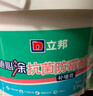 立邦随心涂抗菌防霉耐水补墙膏 墙面修补膏补墙漆修复腻子粉白色1kg 实拍图