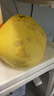 闽农语果浙江玉环文旦柚【纯甜无酸】老树柚子当季新鲜水果礼盒台州文旦柚 【1枚尝鲜装丨3斤左右】 实拍图