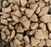 宝路狗粮老年犬狗粮 牛肉味1.8kg全犬种通用老年犬狗粮全价粮  实拍图