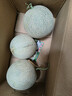 琪江果海南网纹蜜瓜 玫珑冰淇淋蜜瓜当季新鲜水果整箱 净重2.5-3斤1-2个网纹蜜瓜 实拍图