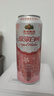 燕京啤酒 桃花白啤 原浆白啤500ml*12听 现货开抢整箱装 实拍图