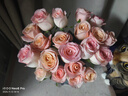 京东鲜花产地仓严选玫瑰颜色随机家庭插花随机玫瑰10枝源头直发 实拍图