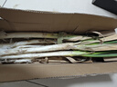 农家自种精品山东大葱特级新鲜铁杆长白葱农家毛葱香葱现挖便宜 山东大葱（带老皮）带箱 2斤 实拍图