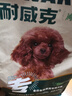耐威克 贵宾泰迪专用狗粮狗干粮小型犬中大型犬成幼犬牛肉味2.5kg 实拍图