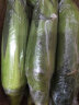 土地母亲计划 水果玉米甜玉米云南 蔬菜新鲜甜嫩玉米棒鲜玉米 净重 3斤 单果300g+ 3-5根 实拍图