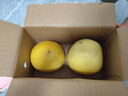 京鲜生 梅州白心蜜柚2粒装 净重4-4.5斤  白肉柚子水果 源头直发包邮 实拍图