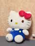 维尼小象正版HelloKitty凯蒂猫公仔毛绒kt猫玩偶六一儿童节礼物生日礼物 实拍图