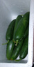 京鲜生 山东水果黄瓜 净重3斤 单果70g+ 青瓜荷兰瓜 源头直发 实拍图