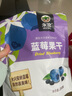 永富蓝莓干250g 独立包装 东北大兴安岭特产办公室健康零食 实拍图