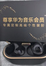 华为FreeBuds Pro 4真无线蓝牙耳机悦彰同声翻译耳机入耳式主动降噪跑步运动游戏低延迟适用mate70pro 曜石黑丨送店铺延保+晒单豪礼 【附充电线+华为音乐卡+耳帽】 实拍图