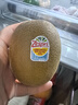 佳沛（zespri）新西兰 阳光金奇异果12粒礼盒特大果单果约122-146g 猕猴桃 水果 实拍图