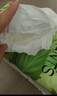 家得宝（homebaby）蚕丝蛋白拉拉裤 Mini装 XL码22片 婴儿尿不湿试用超薄透气纸尿裤 实拍图