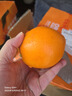 集南鲜 赣南脐橙 江西橙子新鲜现摘水果脐橙时令生鲜水果甜橙 水果礼盒 20斤彩箱特级橙 净重18斤 单果200g+ 实拍图
