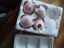 正宗山东秋月梨新鲜现摘莱阳冰糖梨雪梨蜜梨水果【净重2.5斤】 秋月梨 单果≥200g 3斤【净重2.5斤】 晒单实拍图