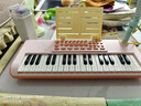 迪漫奇儿童早教神器电子琴儿童钢琴玩具早教37键可弹奏初学者带麦克风 实拍图