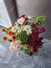 【七彩小雏菊】鲜切花混搭混色多头鲜花插瓶水养花期长七夕礼物 随机混色小雏菊50CM10枝 实拍图
