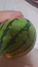 京鲜生 无籽麒麟西瓜 1粒装 单果5-7斤 生鲜水果 实拍图
