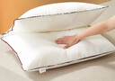 水星家纺枕头枕芯酒店枕头护颈枕头芯家用一对纯棉抗菌可水洗中枕48x74cm 实拍图
