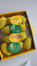 佳沛（zespri）新西兰  阳光金奇异果10粒礼盒巨大果单果约144-175g 水果 猕猴桃 实拍图