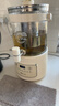 小熊（Bear）养生壶 养生桶花茶桶 水龙头烧水壶煮茶器煮茶壶 玻璃花茶壶恒温电热水壶 3L大容量ZDH-F30F1 实拍图