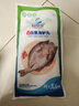 仙泉湖三去白蕉海鲈鱼1斤/条净膛冷冻刺少肉厚珠海特产500g生鲜食材 实拍图