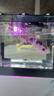 桌面鱼缸小型家用积木缸生态缸水族箱斗鱼缸带小夜灯氛围灯摆件 黑色鱼缸一个灯 实拍图