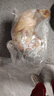 硒全食美富硒老鸽王 450g/只 冷冻 供港鸽子生鲜冷链 煲汤优选卤煮食材 实拍图