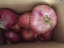 山东特产水果扁洋葱甜瓜口感红皮扁葱头生吃脆甜蘸酱好吃粉嫩 紫皮洋葱大果带箱 3斤 精选 实拍图