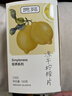 贡苑冻干柠檬片200克【共2盒】独立包装蜂蜜柠檬干片水果冷泡水喝花茶 实拍图