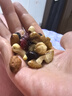 沃隆每日坚果750g/30袋坚果炒货孕妇零食核桃仁干果礼盒零食大礼包 实拍图