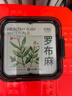 冬海红罗布麻茶150g原产新疆高降雨地区紧压嫩叶茶养生茶 实拍图
