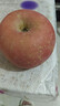 京地达烟台栖霞红富士苹果净重4.5斤单果约193g烟台苹果水果源头直发 实拍图