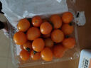 京喜加夏日阳光小番茄黄色迷恋圣女果即食水果小柿子现摘现发减肥 黄色圣女果五斤装 实拍图