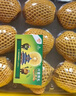 佳沛（zespri）新西兰  阳光金奇异果10粒礼盒巨大果单果约144-175g 水果 猕猴桃 实拍图