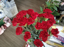 【康乃馨】鲜花云南基地直发女神节礼物花束多色花期长七夕送人3 红色康乃馨20枝 实拍图