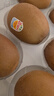 佳沛（zespri）新西兰  阳光金奇异果10粒礼盒巨大果单果约144-175g 水果 猕猴桃 实拍图