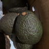 鲜级佳秘鲁进口牛油果鳄梨新鲜水果微催熟爽滑细腻宝宝辅食单果水果当季 品质超值款 100-140g 【6个装】 实拍图