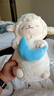 名创优品（MINISO）羊咩咩系列甜睡小羊公仔毛绒玩具玩偶公仔娃娃生日礼物女 月亮款 实拍图