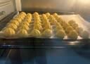 瑞灶烤箱商用大容量热风循环专业烘焙家用多功能60L烤月饼48L小型上下独立控温低温发酵多层烤位电烤箱 高配（热风循环+旋转烤叉+发酵+上下控温） 60L 实拍图