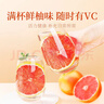 贡苑 红心西柚片260克【富含VC】水果茶果切柚子干片网红泡水喝的花茶 实拍图