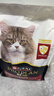 冠能猫粮成猫猫粮三文鱼味2.5kg 全价猫粮 稳固免疫 适口性强 实拍图